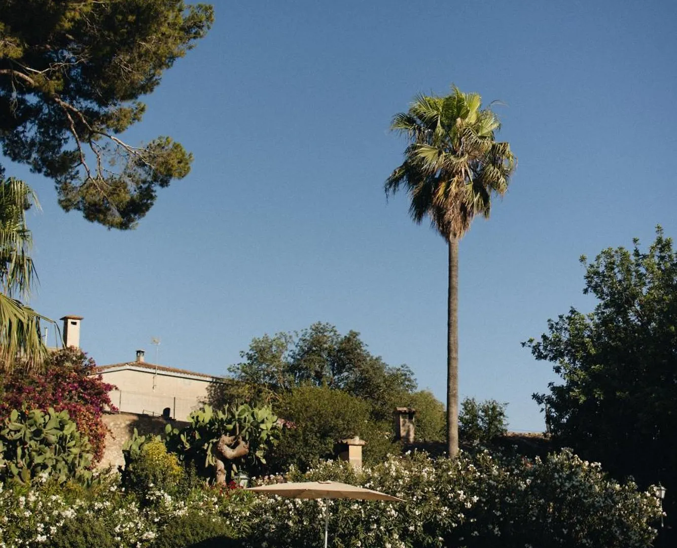 Can Moio Turismo De Interior Hotel Palma de Mallorca